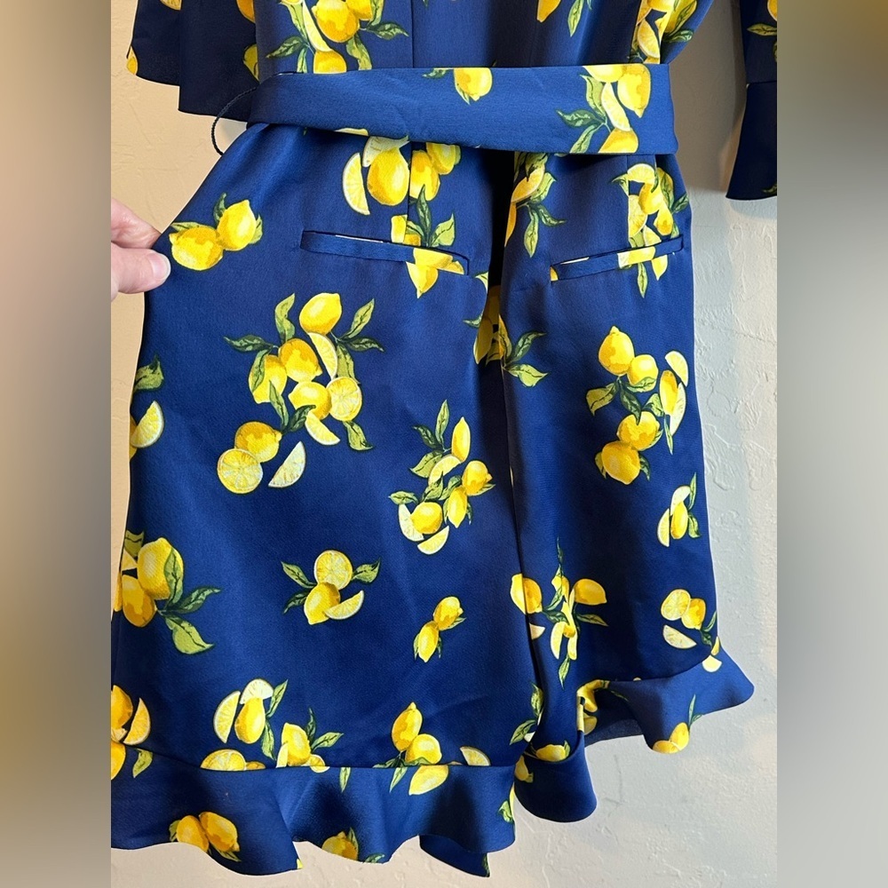 Banana Republic Navy Blue with Lemons Print Ruffle Shorts Tie Belt Romper Sz 4 - Picture 9 of 14